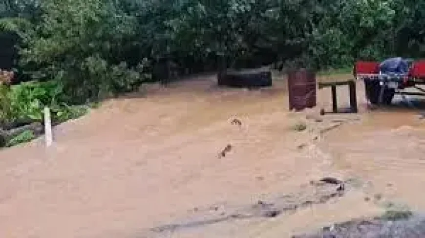 New Zealand Cyclone Vaianu Leaves Hundreds Evacuated as 130 km/h Winds Hit the North Island