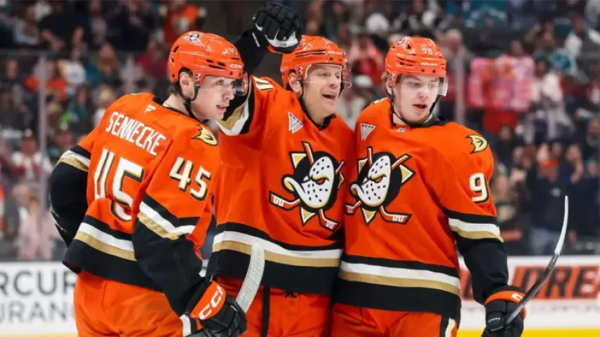 Nhl Clinching Scenarios: Ducks Can Lock In as Capitals and Islanders Fight to Stay Alive