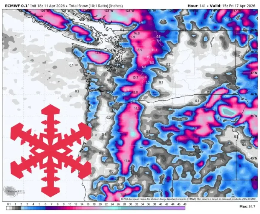 Winter Storm Watch Issued as 20 Inches of Snow, 45 mph Winds Loom