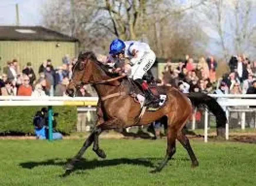 Scottish Grand National: 25 confirmations and 1 new topweight shake-up for Ayr