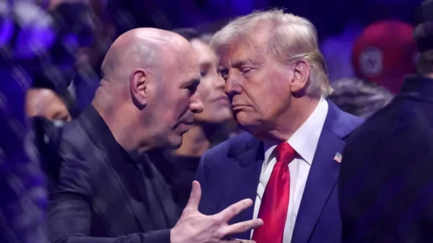 UFC Fans Shift Opinion on President Trump