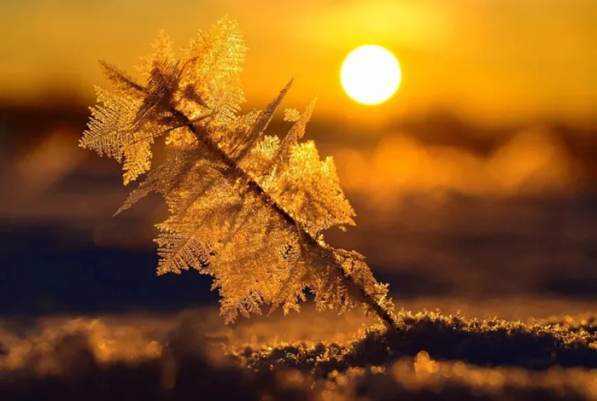 Software Stocks Surge After Long Neglect