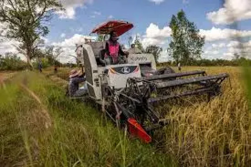 Farmer Costs Surge as Fuel Crisis Hits the South of England