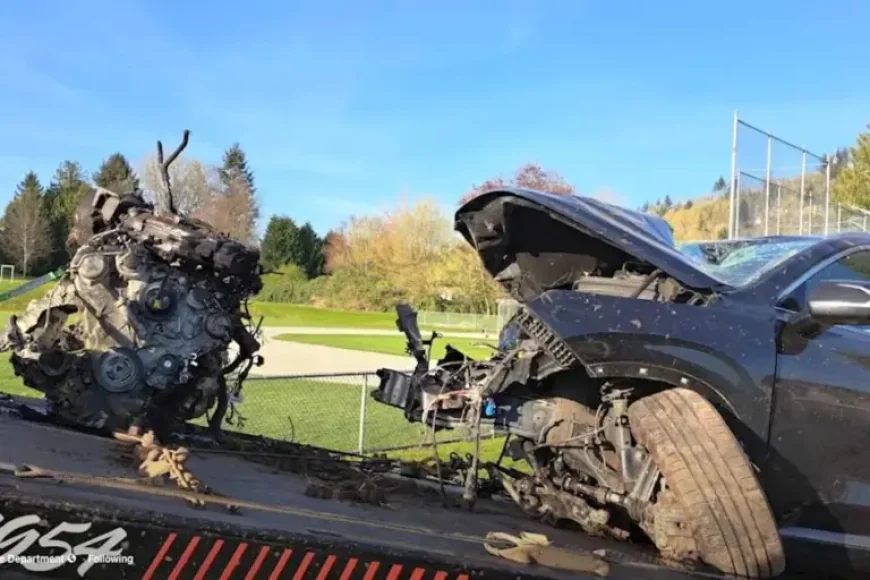 Abbotsford hit-and-run crash leaves questions after SUV strikes tree