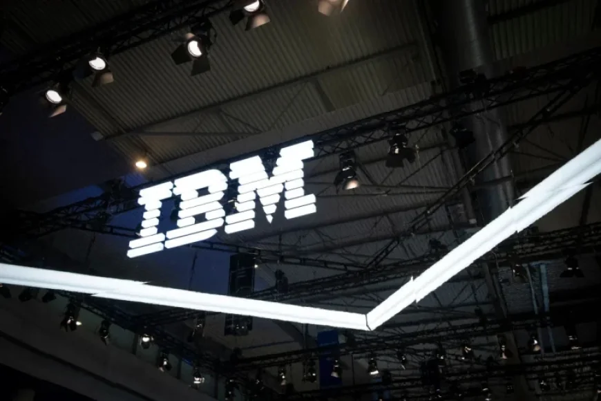 IBM Settles DOJ Diversity Suit with $17M Fine