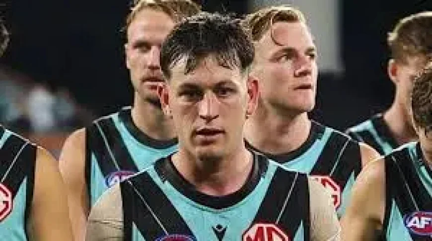 Afl Tribunal and the human cost of a misheard moment