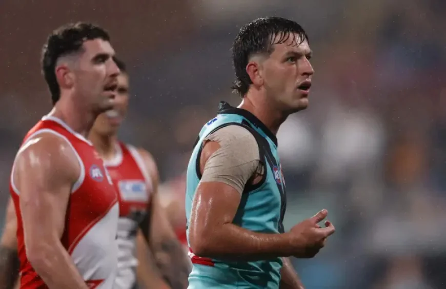 Butters fined $1500: 5 key takeaways from the umpire abuse verdict