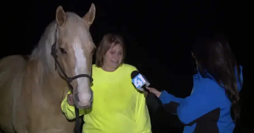 Kansas Tornadoes after the Monday Night Surge
