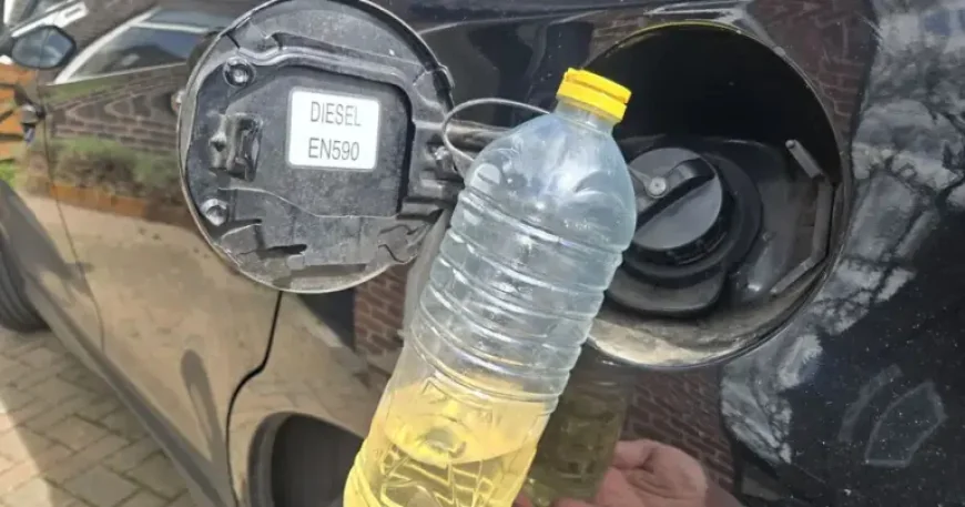 Jeremy Clarkson and the hidden danger behind the cheap vegetable oil diesel trick