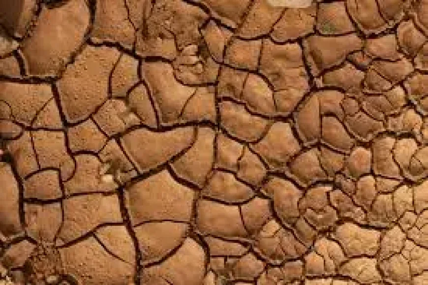 El Niño Weather: Why the ‘super’ label hides a fragile forecast