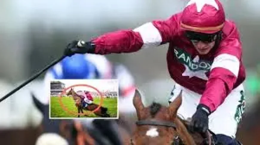 Willie Mullins and the Grand National fallout: 2 fatalities, boycott calls, and a welfare row