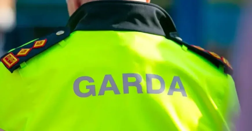 Gardai Seize Fuel Protest Trucks: Two Drivers Face Court Over Dangerous Driving in Co Louth