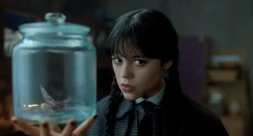 Wednesday, Season 3: 3 major cast additions reshape the Addams family reunion