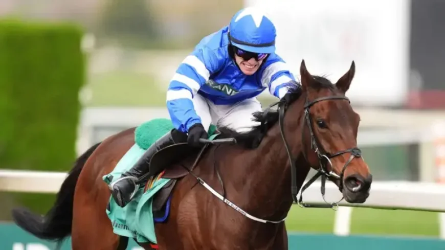 Laafi Grand National Winner Disqualified After Jockey Breaches Whip Limit