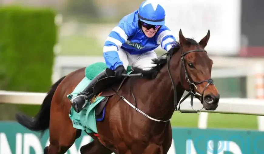 Laafi Grand National Winner Disqualified: How One Finish Changed Everything