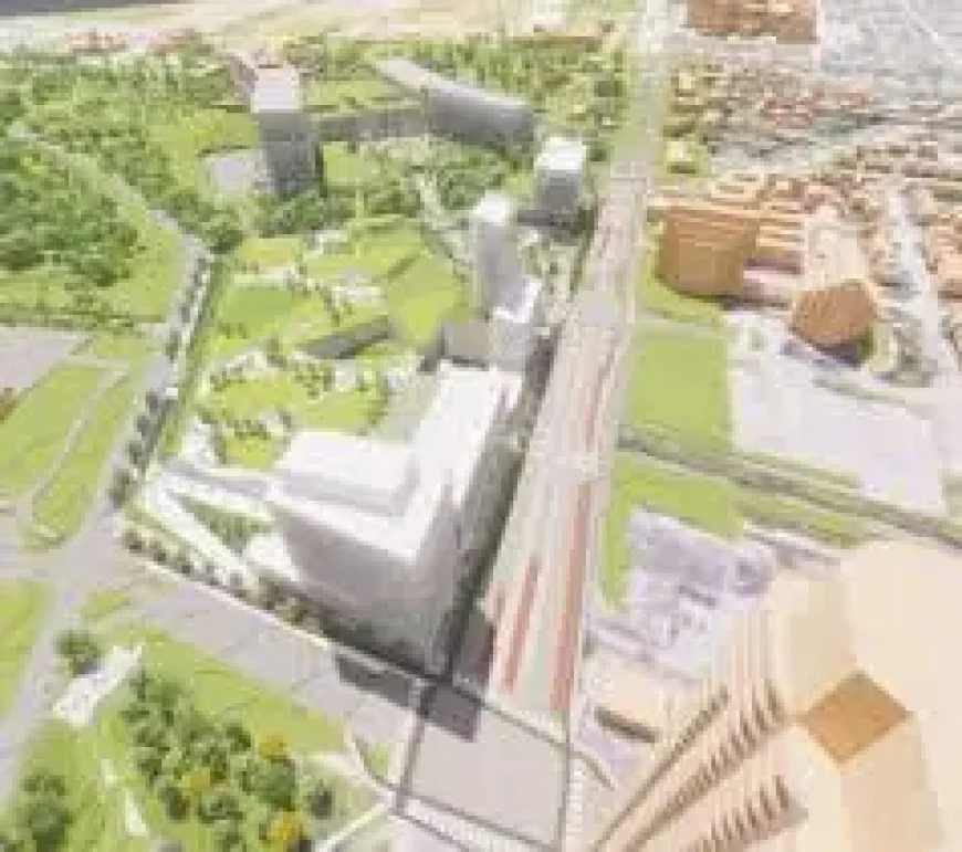 Bermuda cruise rerouted to New Brunswick, couple told to pack layers