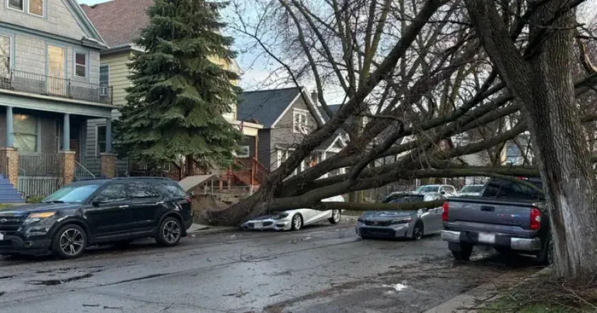 Madison Weather After the Storms: What Comes Next in Southeast Wisconsin