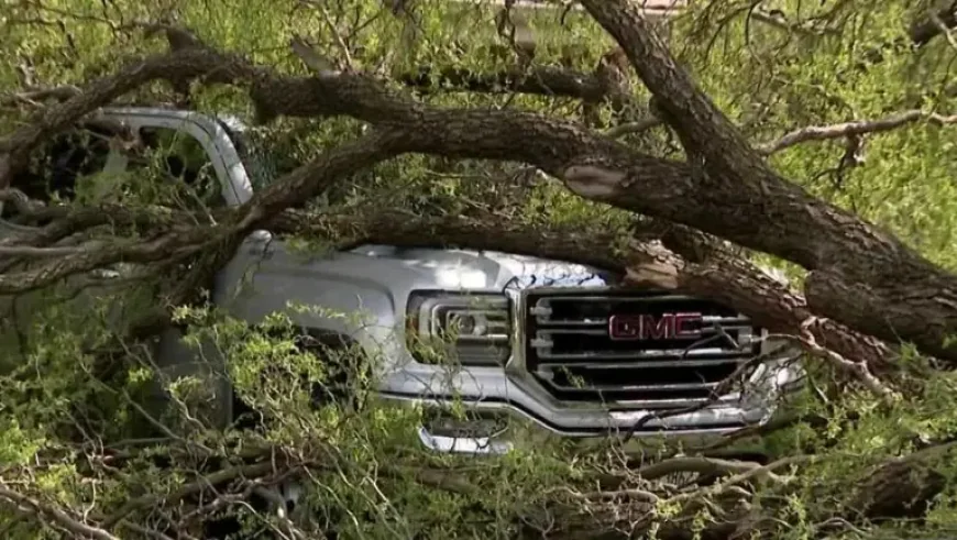 Tornado Warning Milwaukee and the night neighbors woke to falling trees