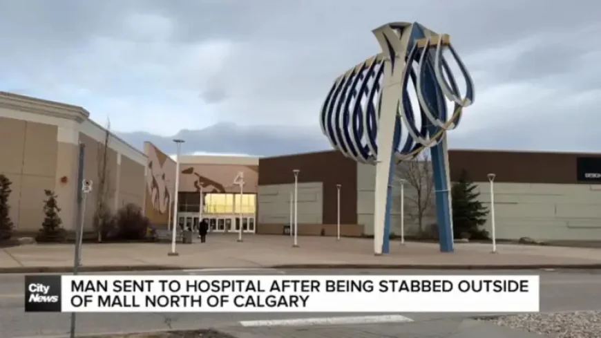 Crossiron Mills after the evening stabbing: what the Calgary-area case signals