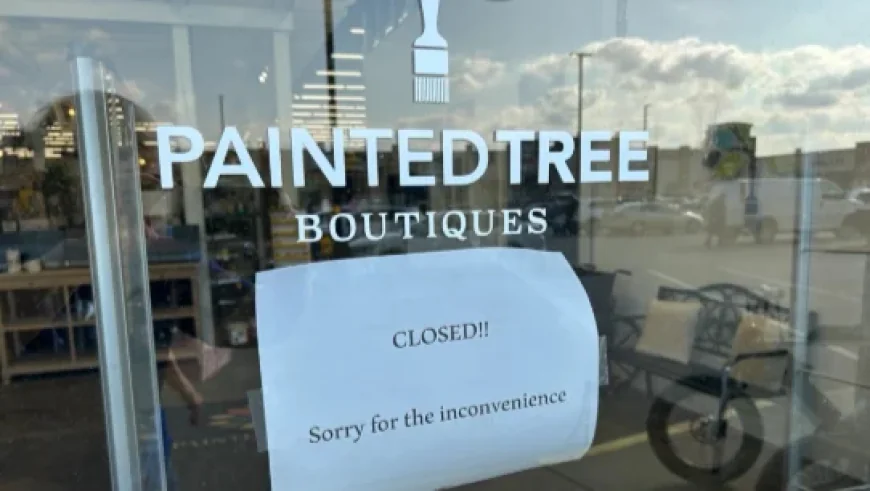 Painted Tree Boutiques Closes All Locations Nationwide Abruptly