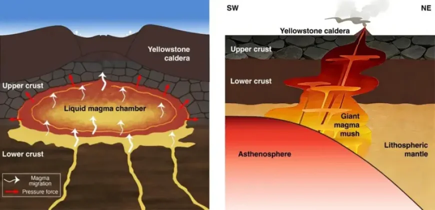 Yellowstone Eruption: A Closer Magma Source Could Upend the Hazard Story