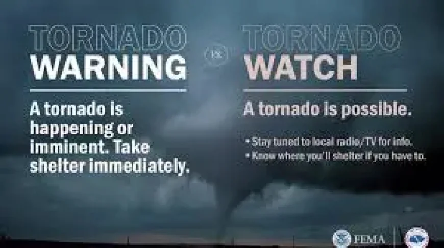 Warning Vs Watch: 3 Things the Browser Block Reveals About Access and Readiness
