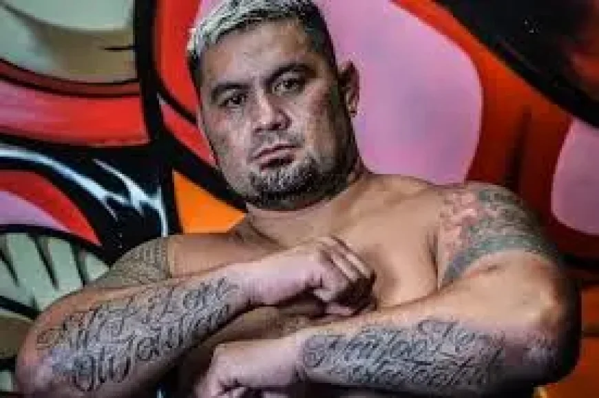 Mark Hunt arrested on domestic violence charge after police call in north-east NSW