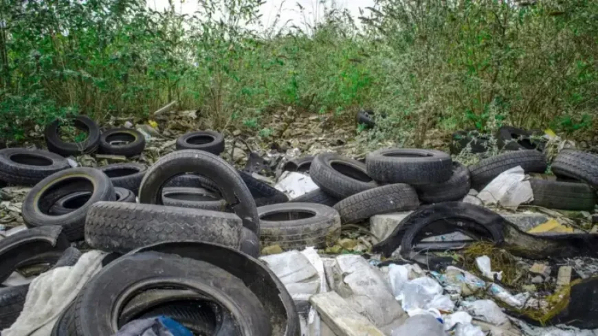 Beau Vine Waste Carrier License: 3-Second Approval Exposes a 2026 Fly-Tipping Flaw