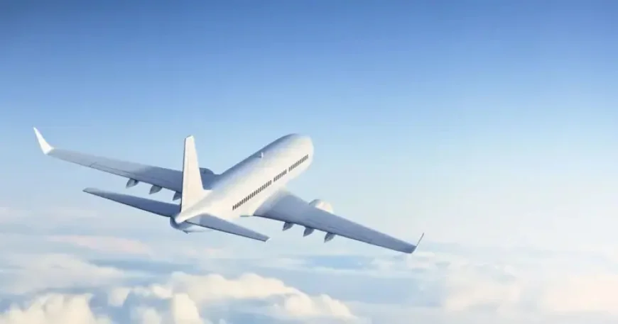 Liquidation Hits Airline in Business Since 2007 as All Flights Stop