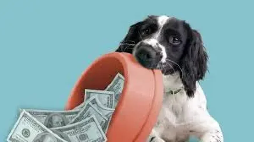 Tax Day Freebies 2026 and the small rituals that make April 15 feel lighter