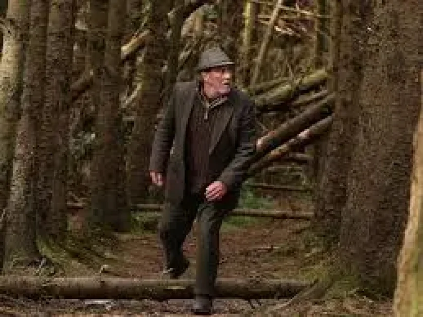 Liam Neeson thriller remake starts streaming free after mixed response