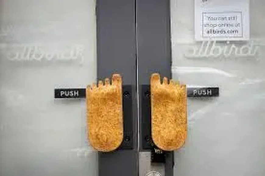 Allbirds and the Human Cost of a Brand Turning Toward AI Compute