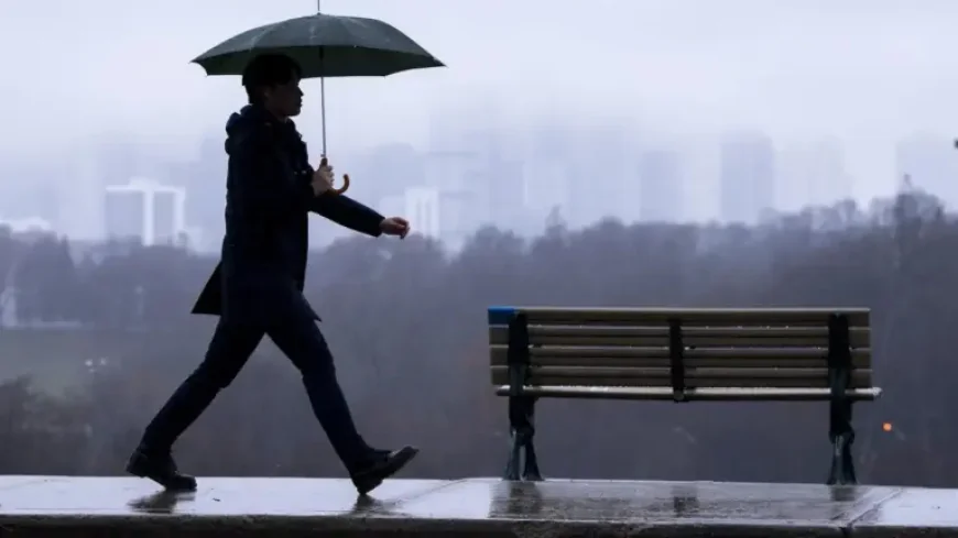 Windsor Ontario Tornado Warning and the Quiet Anxiety of a Rain-Soaked Wednesday