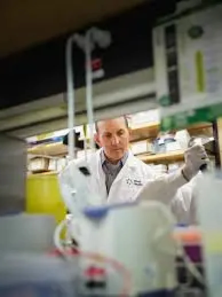 Weight Loss and the Liver: How a Hidden Pathway Is Changing GLP-1 Medicine