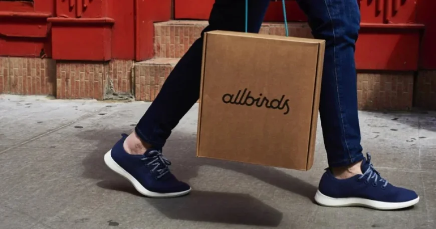 Allbirds Transforms from Shoe Startup to AI Innovator