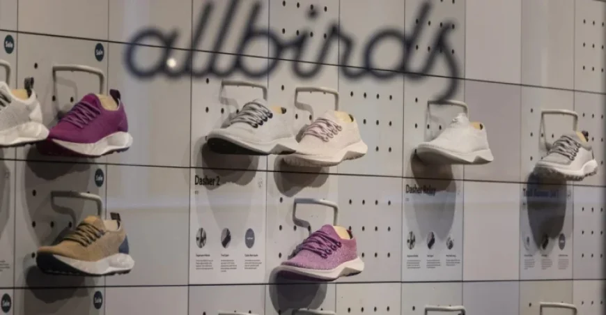 Allbirds Shifts Focus to AI; Stock Soars 600%