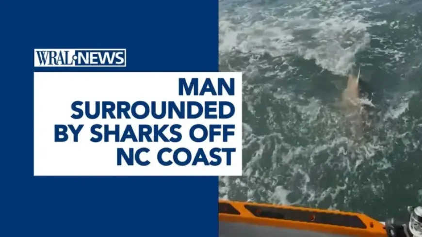 Brett Barley and the shark surge off North Carolina as a warning moment