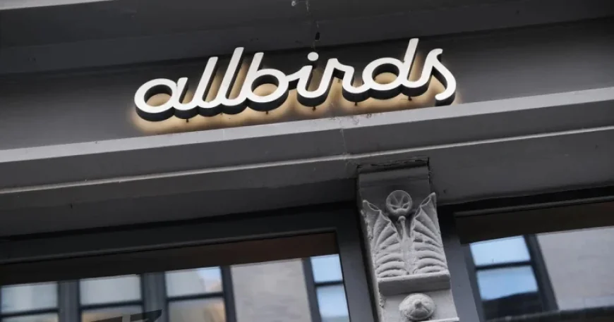 Allbirds Shifts Focus from Footwear to AI Innovation