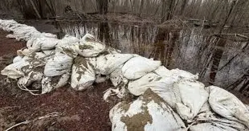 Public Servants Early Retirement Application: Senators Fans Brace for a 2nd Straight Playoff Run