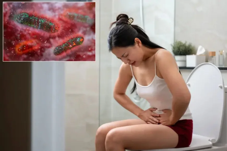 Drug Resistant Shigella as 2025 Approaches