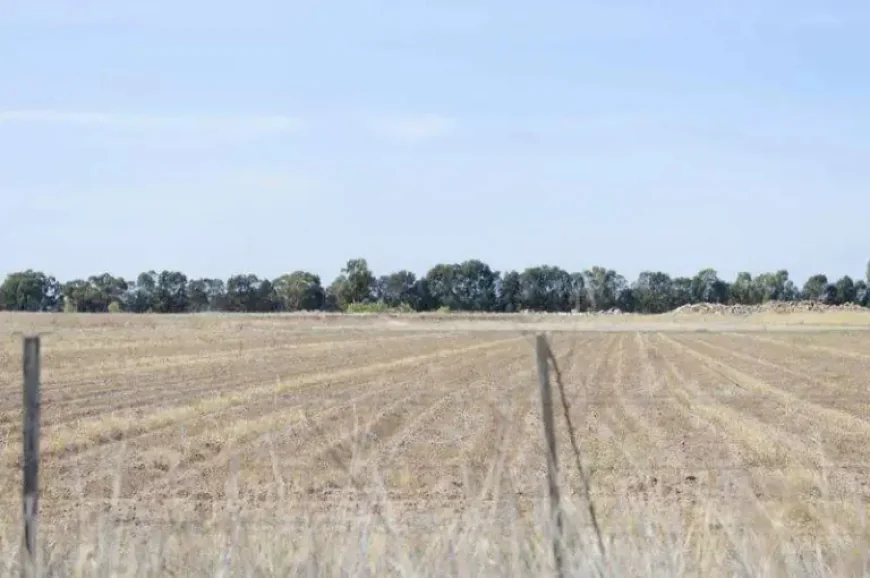 Bureau Of Meteorology Flags El Niño Risk as 2026 Approaches