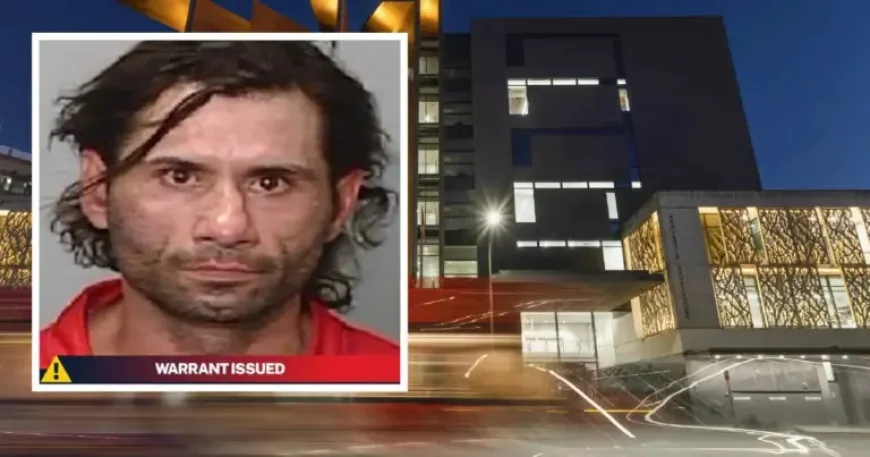 Nsw Police Are Searching For Kyle Quayle After His Mistaken Release: Manhunt Continues in Newcastle Area