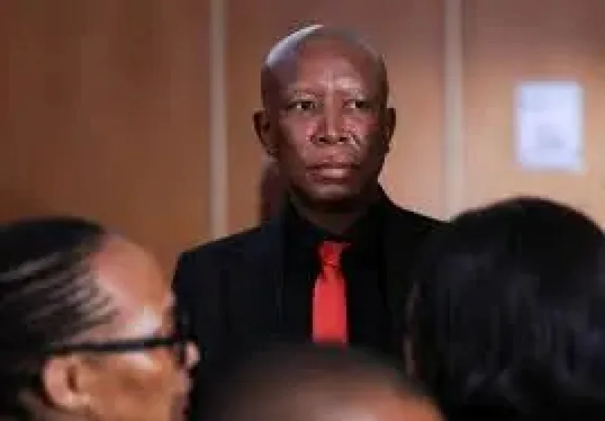 Julius Malema Sentenced to Five Years as a Firearm Case Exposes a Political Fault Line