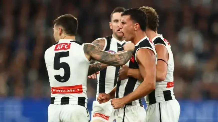 Live Afl Scores: Daicos powers Collingwood’s comeback at the MCG