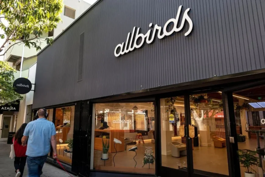 Allbirds Shares Plunge 31% as AI Pivot Rally Dampens