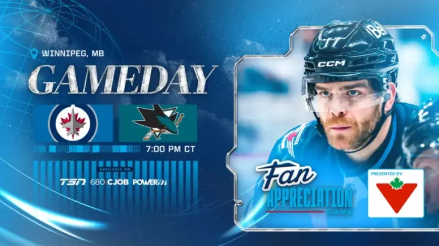 Sharks Vs Jets: Winnipeg’s season finale exposes the gap between expectation and reality