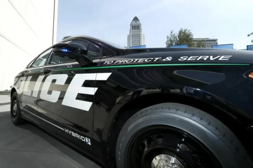 Celeste Rivas After the Arrest of D4vd: What Changes Now