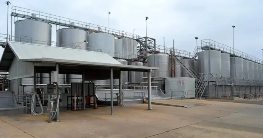 Winemasters Sa Failed Sale and the Human Cost of a Winery Collapse