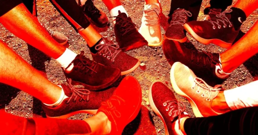 Allbirds Stock Plummets Amid Realization of Dubious AI Strategy