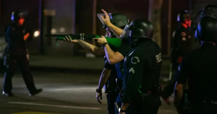 Jury Grants $11.8 Million to Dodgers Fan Blinded by LAPD